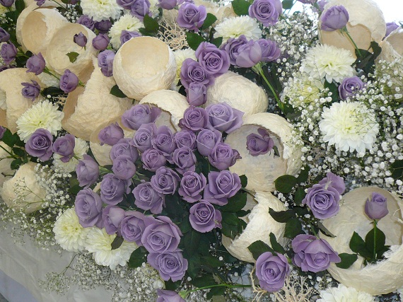 P1050450.JPG