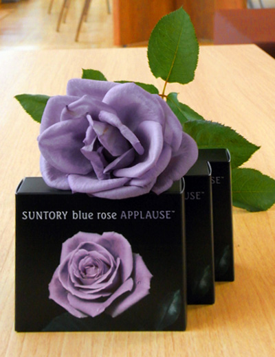 applause_soap_nenga_2.jpg