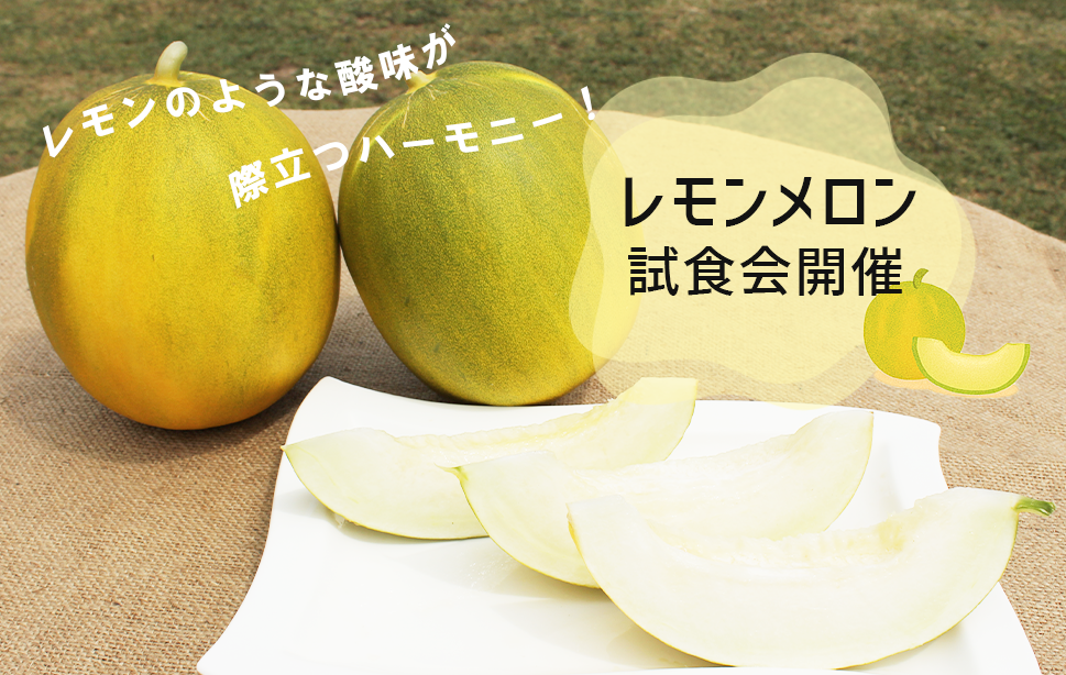 レモンメロン試食会