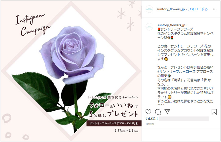 Instagram（インスタグラム）にてサントリーフラワーズの花のアカウントを開設しました！