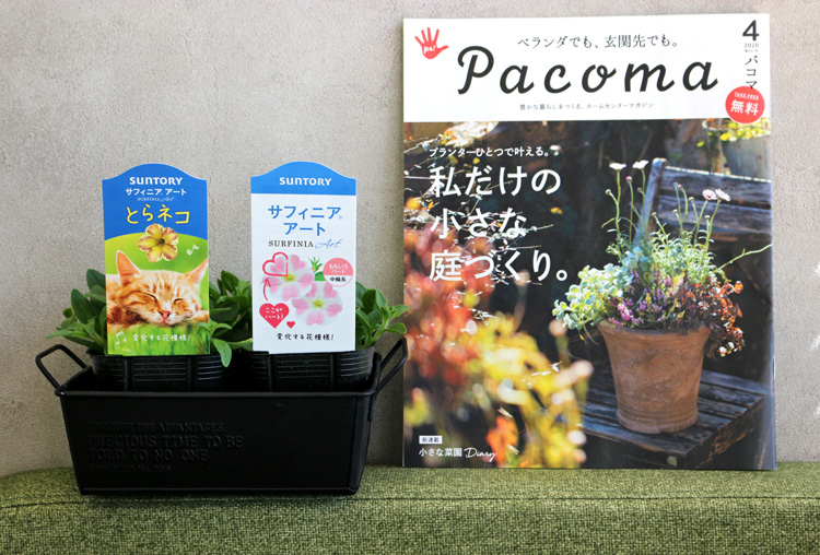 「Pacoma（パコマ）2020年4月号」にサントリーフラワーズの花苗・野菜苗が紹介されています。