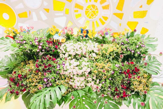 春の花苗 サフィニアアート が2020年3月31日のめざましテレビで紹介されました サントリーフラワーズ 花とおしゃべりブログ