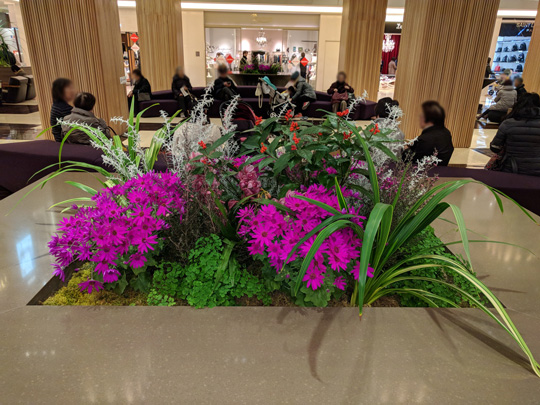 セネッティ が玉川高島屋s C 東京都 にて飾られています サントリーフラワーズ 花とおしゃべりブログ