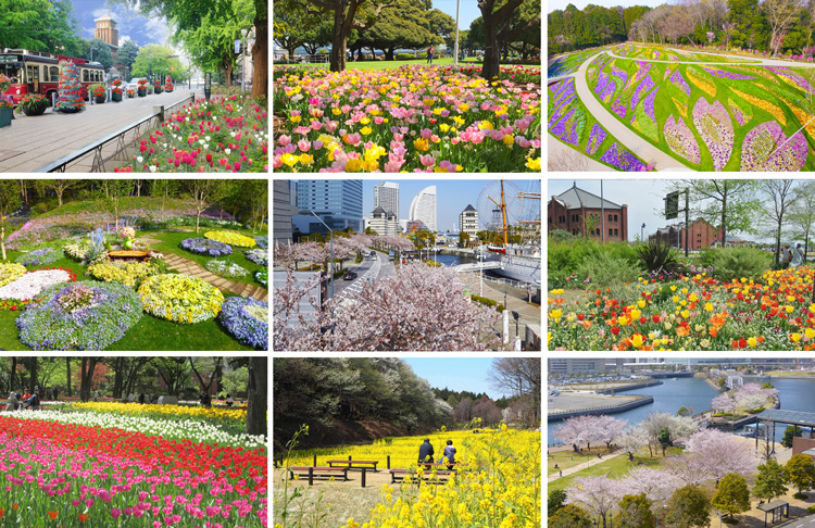 ガーデンネックレス横浜18でgreensnap主催のイベントにサントリーフラワーズも参加いたします サントリーフラワーズ 花とおしゃべりブログ