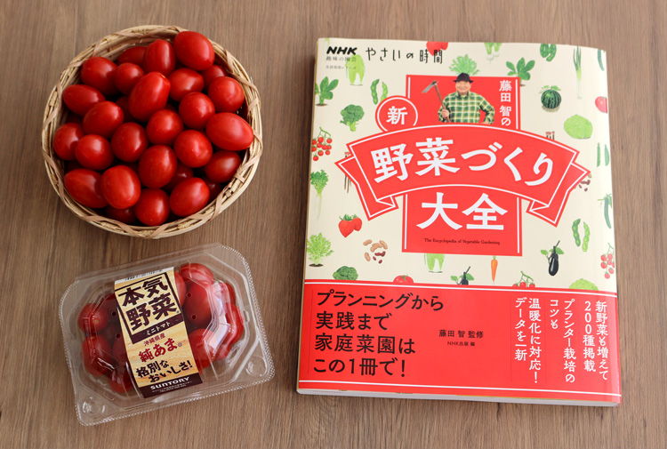 「NHK趣味の園芸 やさいの時間 藤田智の新・野菜づくり大全」にサントリー本気野菜品種も掲載されました。