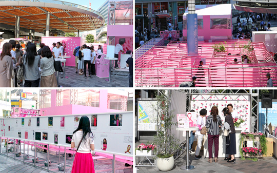 17年9月29 30日 ピンクリボン キャンペーン Time To End 乳がんのない世界へ にプリンセチアも参加しました サントリーフラワーズ 花とおしゃべりブログ
