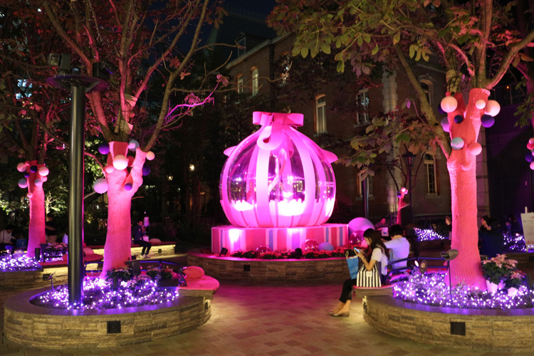 『丸の内 ピンクリボン ガーデン（東京都）』が2019年10月5日まで開催中♪「プリンセチア」が飾られています。