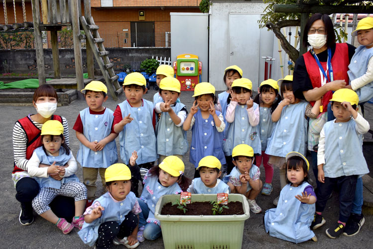 サントリーフラワーズの野菜苗「本気野菜」を100の保育園・幼稚園に無償提供しました。