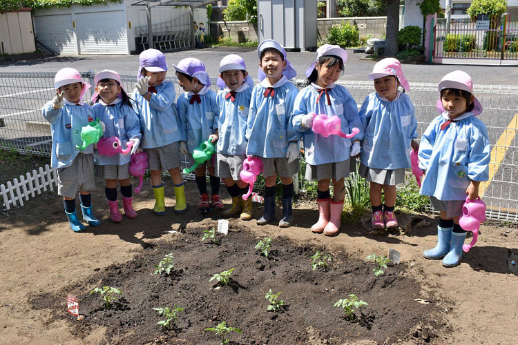 サントリーフラワーズの野菜苗「本気野菜」を100の保育園・幼稚園に無償提供しました。