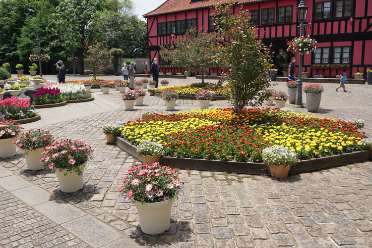 ふなばしアンデルセン公園でサントリーフラワーズのお花が植栽されました（21年5～6月の様子）。