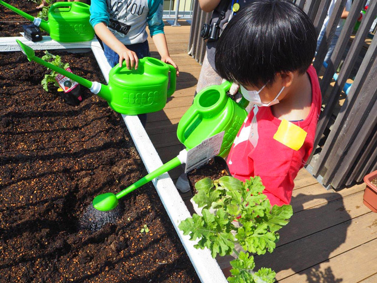 宮城県「石巻市子どもセンター らいつ」さんにてサントリーフラワーズによる本気野菜ワークショップを実施しました。