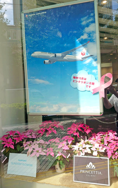 「プリンセチア」が日本航空（JAL）のピンクリボンキャンペーンに参加しています
