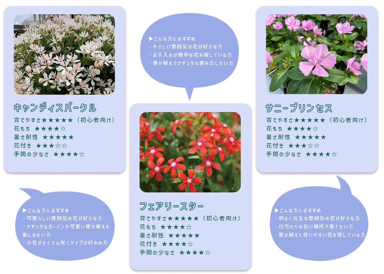 キャンデースパークル、フェアリースター、サニープリンセス
