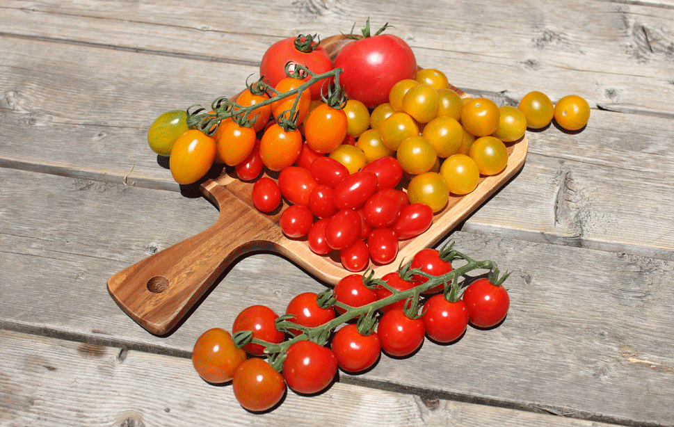 あまさセレクト