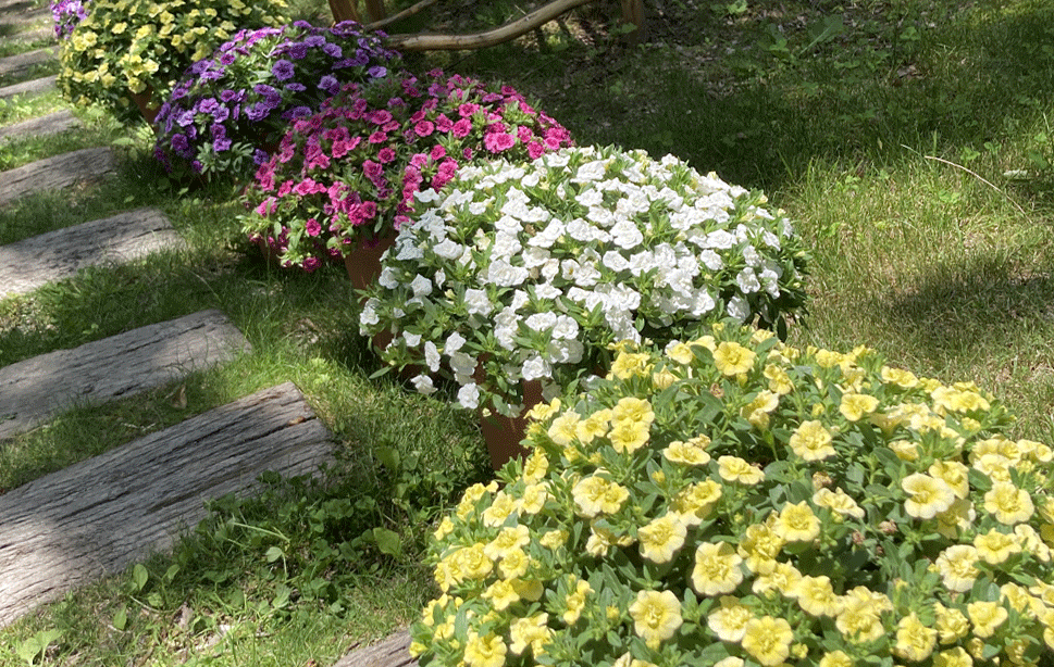 ミリオンベル ハンディ