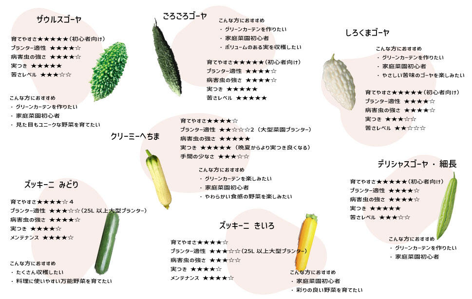 5月からでも植え付け野菜苗ゴーヤ、ズッキーニ、ヘチマ