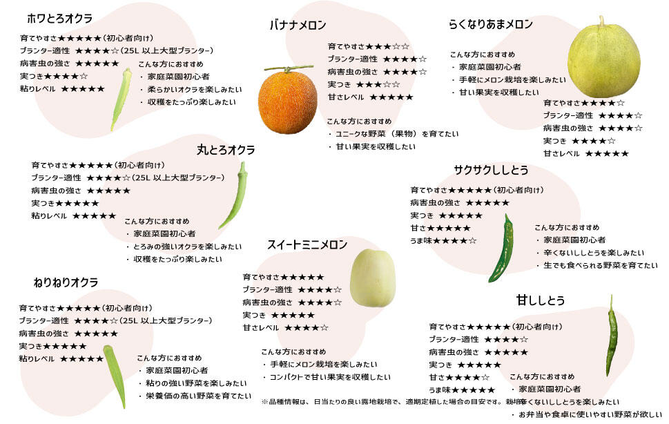 5月からでも植え付け野菜苗メロン、オクラ、ししとう