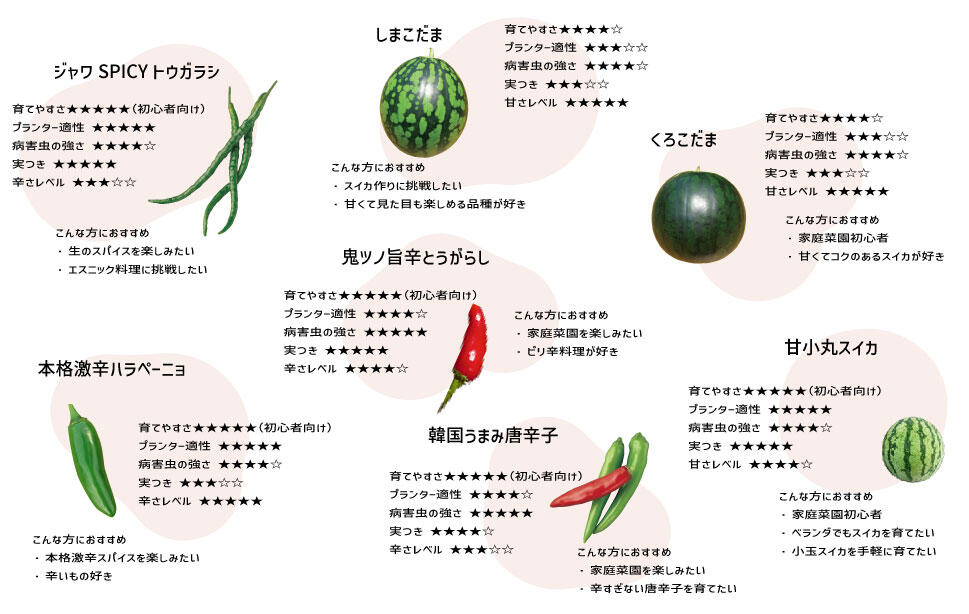 5月からでも植え付け野菜苗スイカ、ししとう