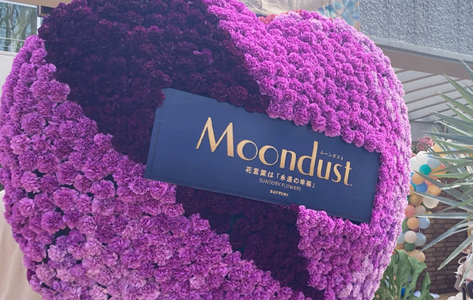 福岡フラワーショーのムーンダスト.png