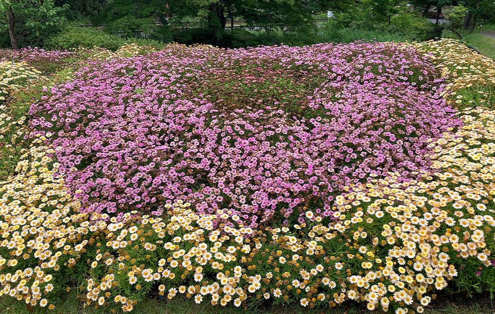 福岡市植物園