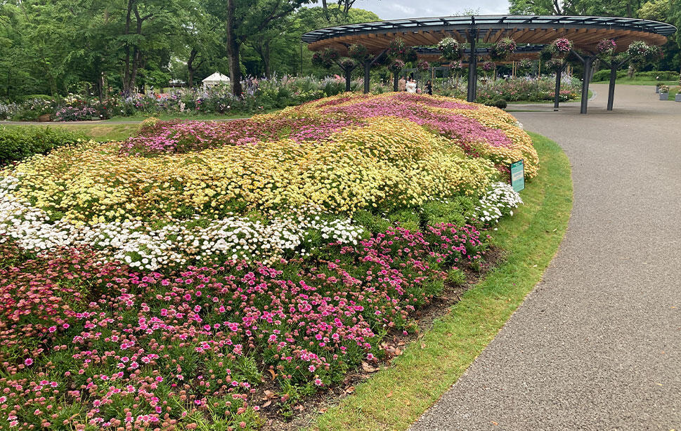 福岡市植物園