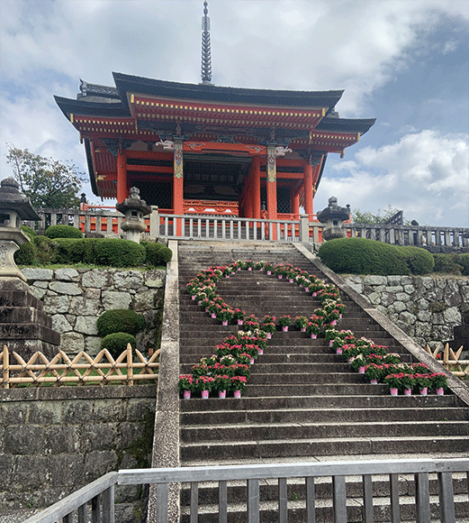 日本航空（JAL）