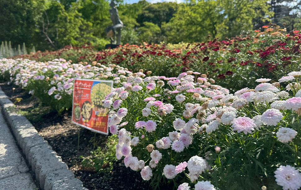 京都府立植物園