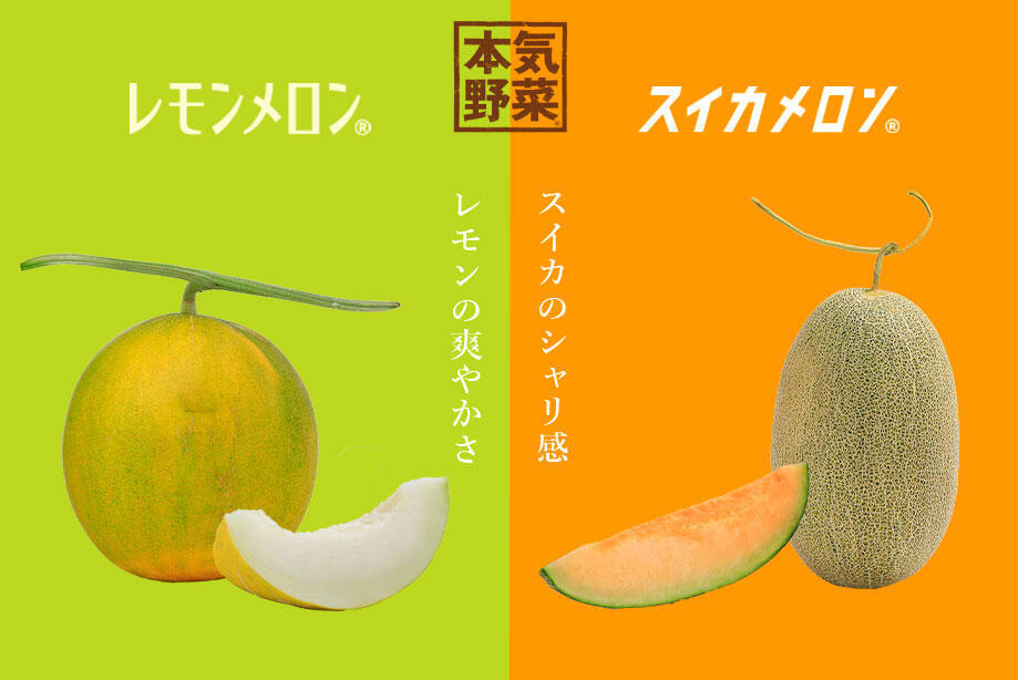 レモンメロン＆スイカメロン