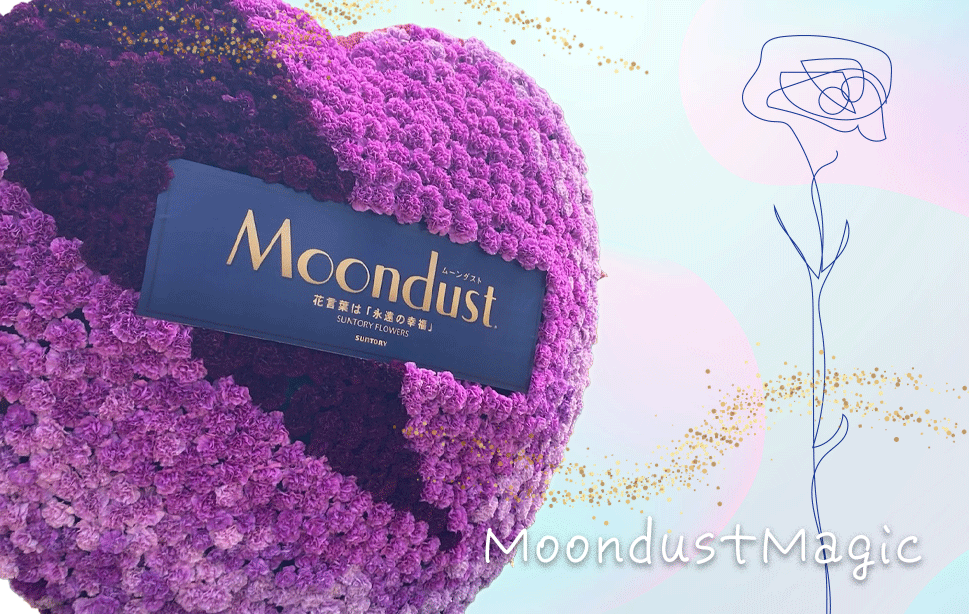 ムーンダストを使ったフォトブース