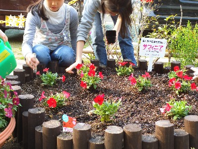 赤い花プロジェクト キッズガーデニングプロジェクト参加の愛子小学校が河北新報で紹介されました サントリーフラワーズ 花とおしゃべりブログ