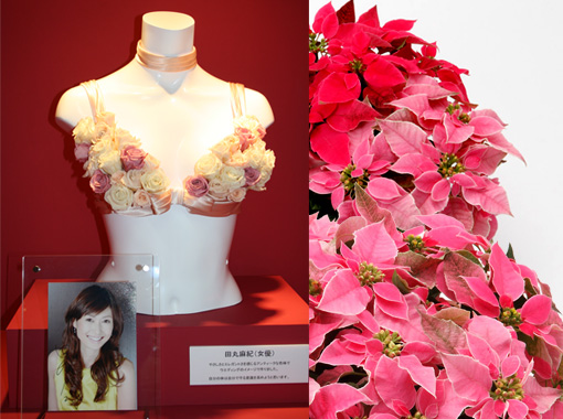 プリンセチアと川崎アゼリアのピンクリボンイベント サントリーフラワーズ 花とおしゃべりブログ