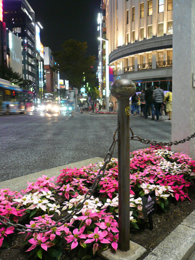 ginza_20131004_1.jpg