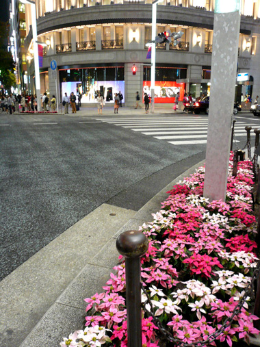 ginza_20131004_6.jpg