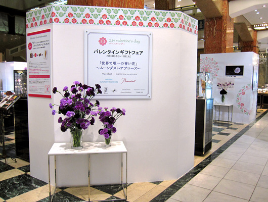 mitsukoshi2013_8.jpg