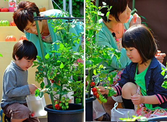 roppongi-nouen_2013_19.jpg