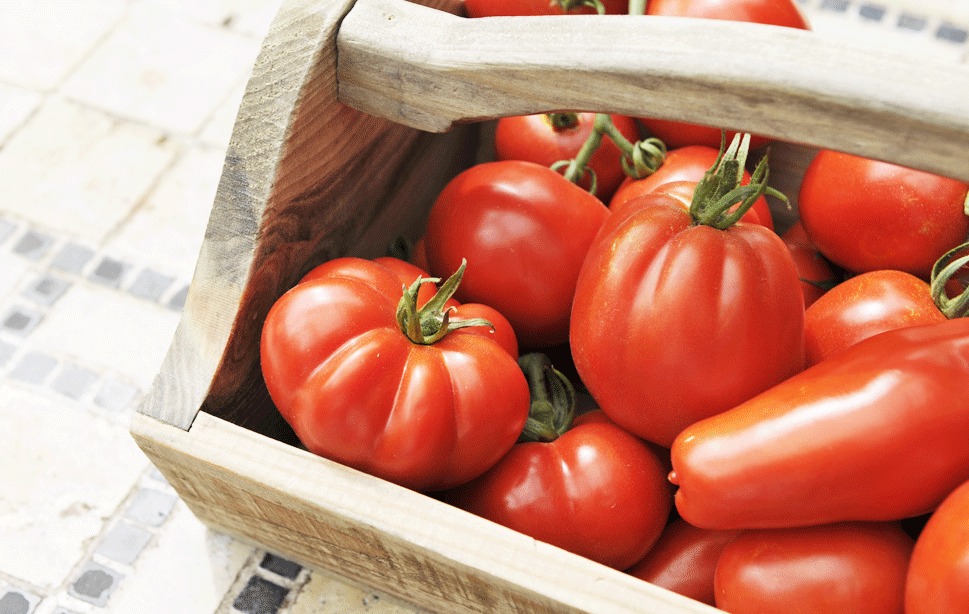 欧州グルメセレクト