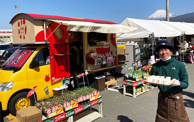 激安激カワ【新品】ビッグサイズめくれる白菜とカリフラワーの野菜祭りセット 激カワ ビッグサイズめくれる白菜とカリフラワーの野菜祭り