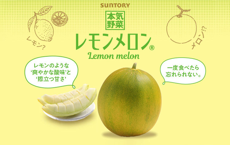 2024年も、サントリー本気野菜「レモンメロン」を期間限定販売！|サントリーフラワーズ 花とおしゃべりブログ